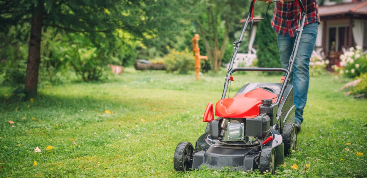 The Benefits of a Lawn Service