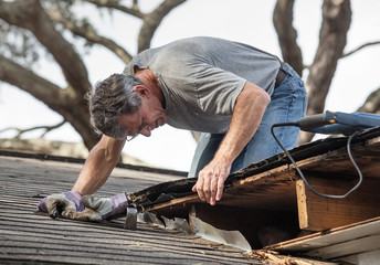 What to Look For in a Roof Replacement